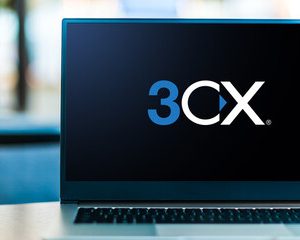 VoIP/Hosted Phone Systems